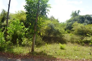 Land for sale in Jimbaran Bali