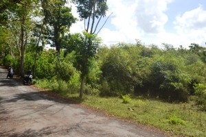 Land for sale in Jimbaran Bali