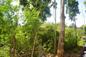 Land for sale in Jimbaran Bali