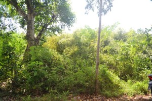 Land for sale in Jimbaran Bali