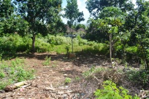 Land sale in Jimbaran