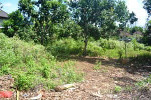 Land sale in Jimbaran