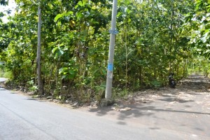 Land for sale in Jimbaran Bali