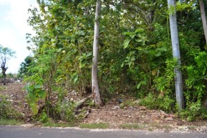 Land for sale in Jimbaran Bali