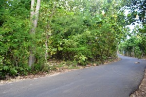 Land for sale in Jimbaran Bali
