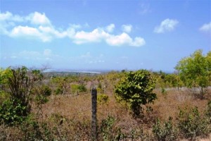 Land for sale in Jimbaran Bali