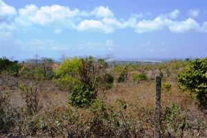Land for sale in Jimbaran Bali