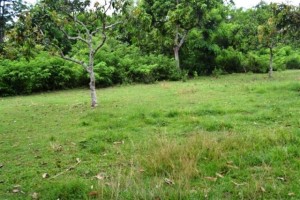 land for sale in jimbaran bali
