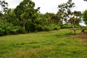 land for sale in jimbaran bali