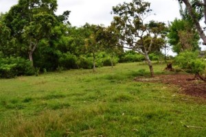 land for sale in jimbaran bali