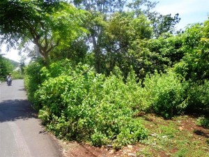 Land for sale in Jimbaran Bali