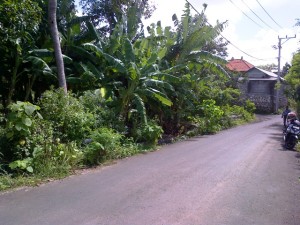 Land in Jimbaran Bali for sale