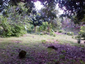 Land in Jimbaran Bali for sale
