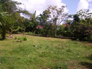 Land in Jimbaran Bali for sale
