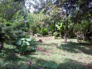 Land in Jimbaran Bali for sale