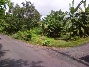 Land in Jimbaran Bali for sale