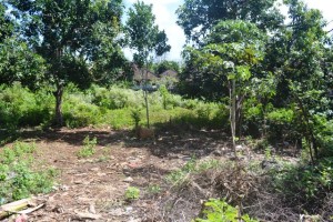 Land sale in Jimbaran