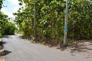 Land for sale in Jimbaran Bali