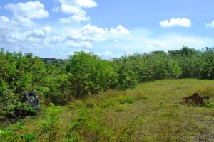 land for sale in Jimbaran Bali