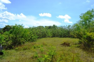 land for sale in Jimbaran Bali
