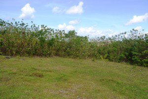 land for sale in Jimbaran Bali