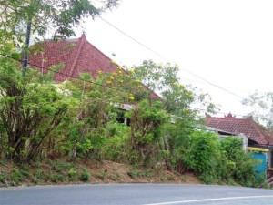 Land for sale in Jimbaran Bali