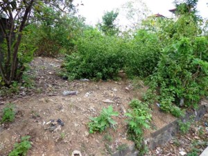Land for sale in Jimbaran Bali