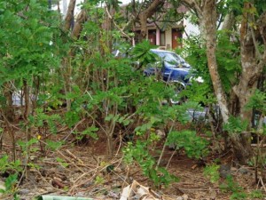 Land sale in Jimbaran Bali