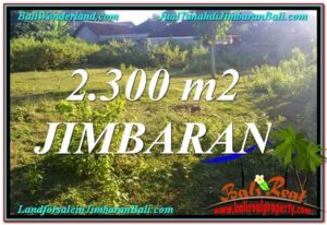 Magnificent 2,300 m2 LAND IN JIMBARAN FOR SALE TJJI117