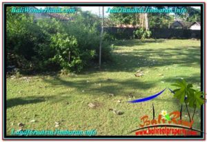 LAND FOR SALE IN Jimbaran Uluwatu TJJI115
