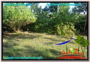 LAND FOR SALE IN Jimbaran Uluwatu TJJI115
