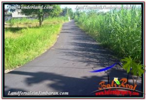 Exotic PROPERTY Jimbaran Uluwatu BALI 2,000 m2 LAND FOR SALE TJJI114