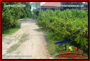 Exotic PROPERTY Jimbaran Ungasan BALI 1,000 m2 LAND FOR SALE TJJI123