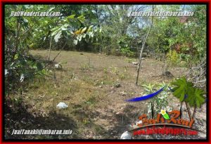 Exotic PROPERTY LAND IN JIMBARAN BALI FOR SALE TJJI134