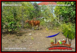 Exotic PROPERTY LAND IN JIMBARAN BALI FOR SALE TJJI134